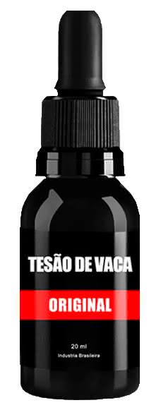 tesão de vaca bula