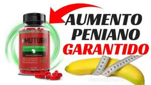 aumento-peniano-mutuba