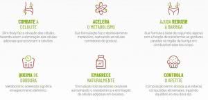 slim-body-beneficios