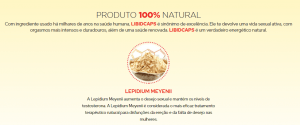 libid caps