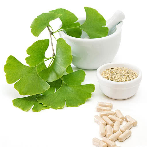 Ginkgo Biloba