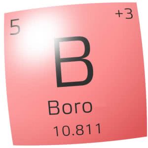 Boro -> Utilidades, Benefícios, Possui contraindicação?